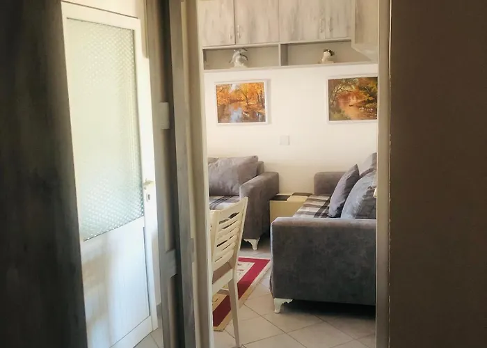 Check In & Chill Inn * Tirana