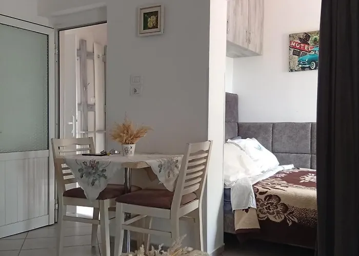 Check In & Chill Inn * Tirana