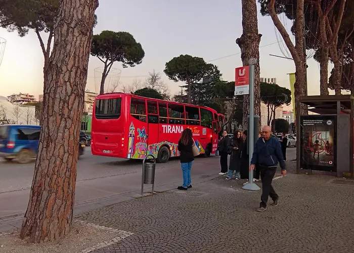 Chill Inn, Into A Cozzy Space ティラナ